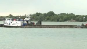 [Aggregator] Downloaded image for imported item #135611