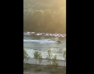 [Aggregator] Downloaded image for imported item #134577