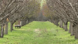 [Aggregator] Downloaded image for imported item #136802