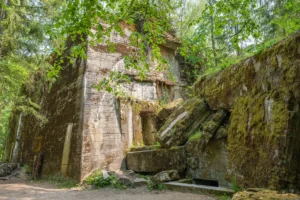 [Aggregator] Downloaded image for imported item #133890