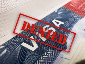 [Aggregator] Downloaded image for imported item #135602