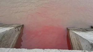 [Aggregator] Downloaded image for imported item #138140