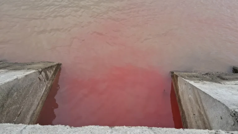 [Aggregator] Downloaded image for imported item #138140