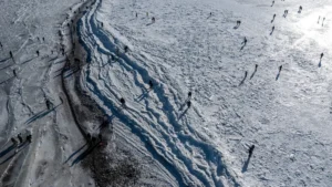 [Aggregator] Downloaded image for imported item #132914