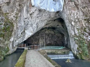 [Aggregator] Downloaded image for imported item #133161