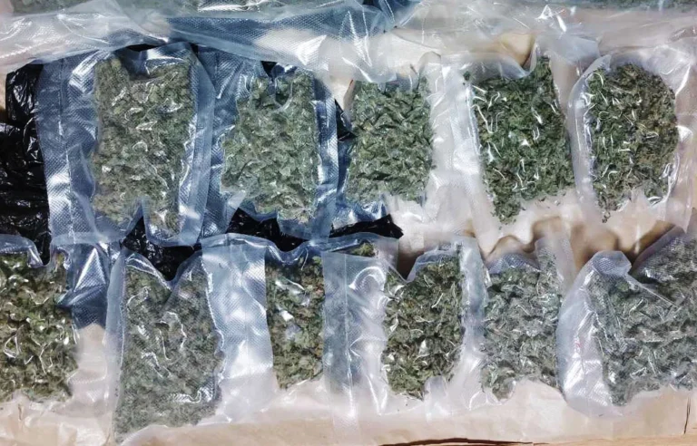 [Aggregator] Downloaded image for imported item #133165