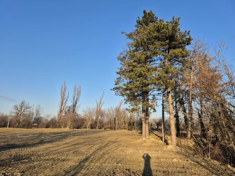 [Aggregator] Downloaded image for imported item #133278