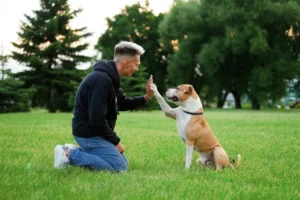 [Aggregator] Downloaded image for imported item #133873