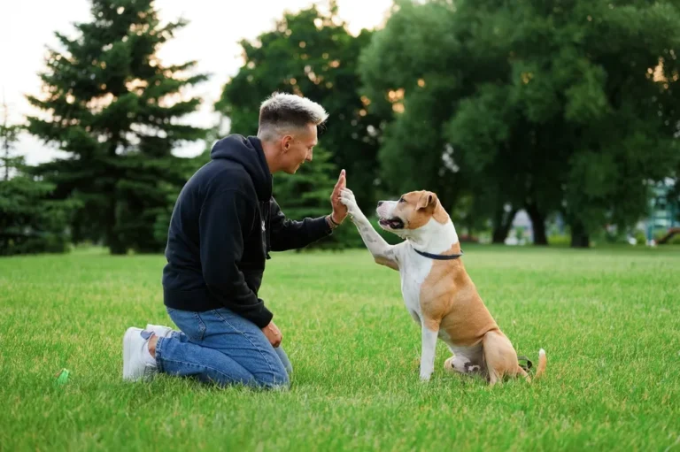 [Aggregator] Downloaded image for imported item #133873