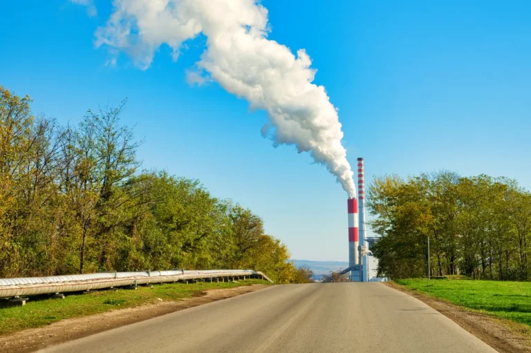 [Aggregator] Downloaded image for imported item #139681