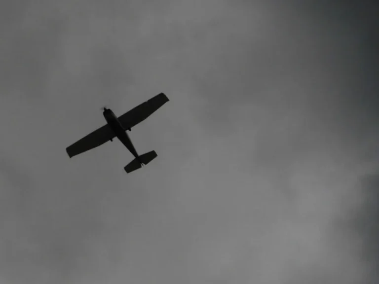 [Aggregator] Downloaded image for imported item #133436