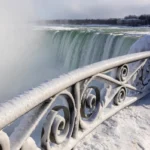 [Aggregator] Downloaded image for imported item #133535