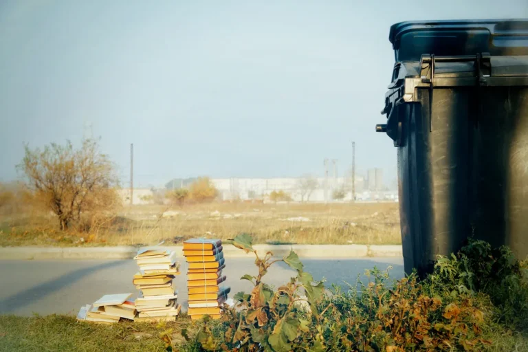 [Aggregator] Downloaded image for imported item #135006