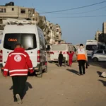 [Aggregator] Downloaded image for imported item #133925