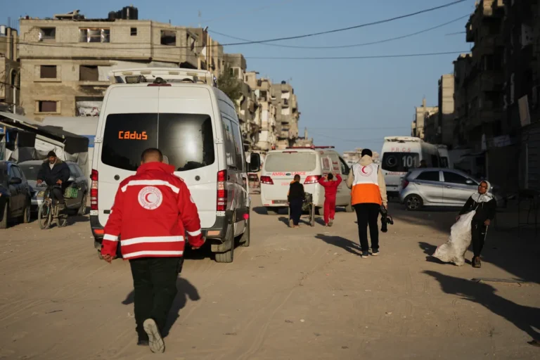 [Aggregator] Downloaded image for imported item #133925