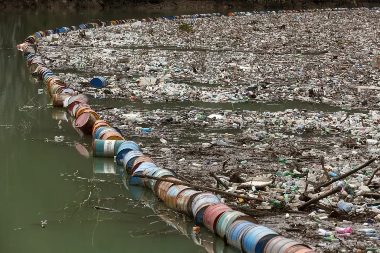 [Aggregator] Downloaded image for imported item #137517