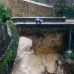 [Aggregator] Downloaded image for imported item #134319