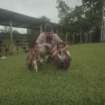 [Aggregator] Downloaded image for imported item #138719