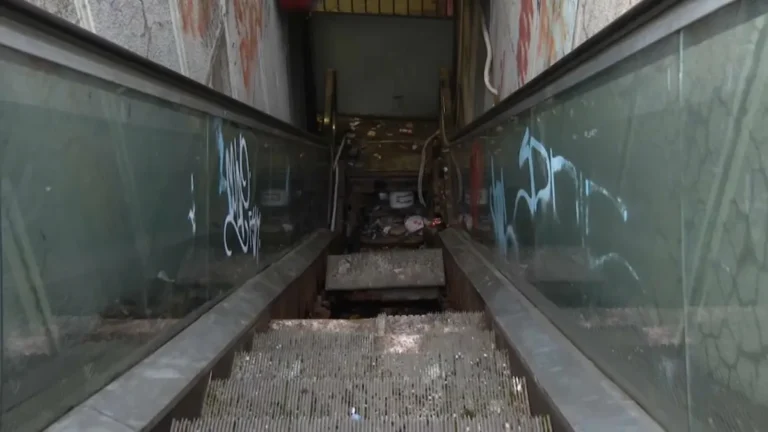 [Aggregator] Downloaded image for imported item #136049