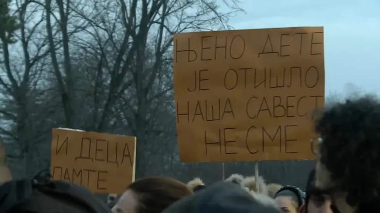 [Aggregator] Downloaded image for imported item #140397