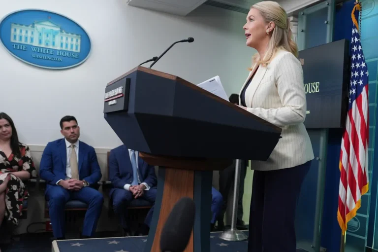 [Aggregator] Downloaded image for imported item #136124