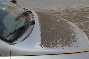 [Aggregator] Downloaded image for imported item #136345