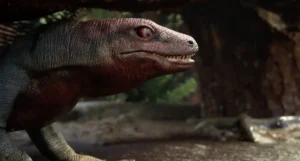 [Aggregator] Downloaded image for imported item #136286