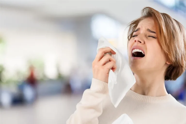 [Aggregator] Downloaded image for imported item #136442