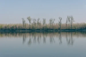 [Aggregator] Downloaded image for imported item #136753