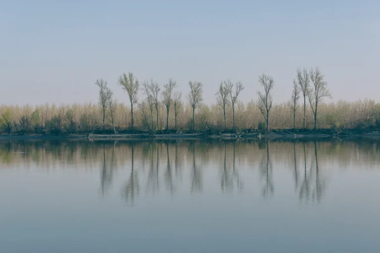 [Aggregator] Downloaded image for imported item #136753