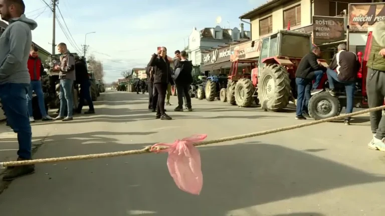 [Aggregator] Downloaded image for imported item #137953