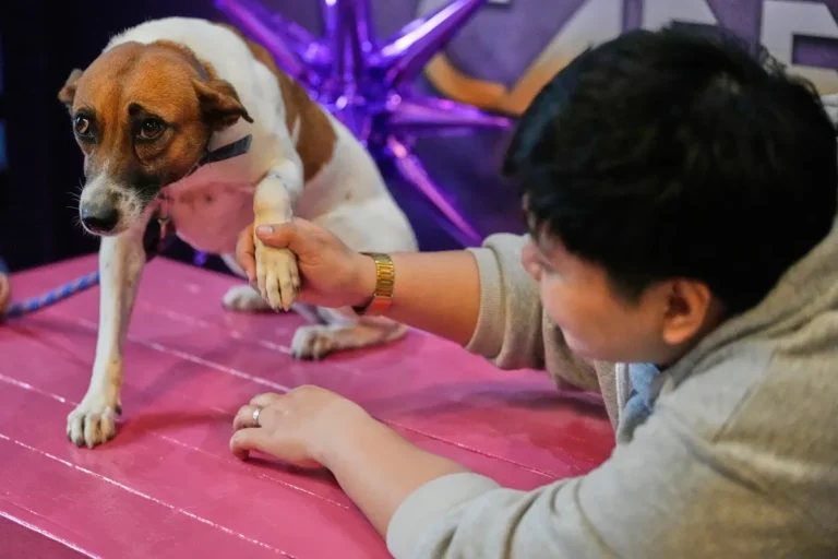 [Aggregator] Downloaded image for imported item #137286