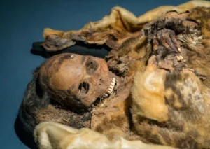 [Aggregator] Downloaded image for imported item #137226