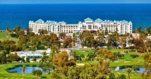 [Aggregator] Downloaded image for imported item #139357