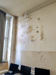 [Aggregator] Downloaded image for imported item #138564