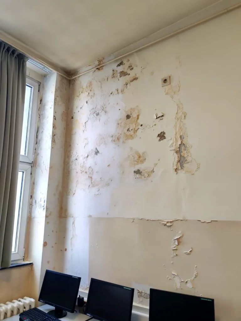 [Aggregator] Downloaded image for imported item #138564