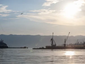 [Aggregator] Downloaded image for imported item #137633