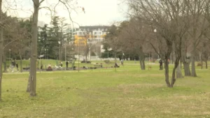 [Aggregator] Downloaded image for imported item #138156