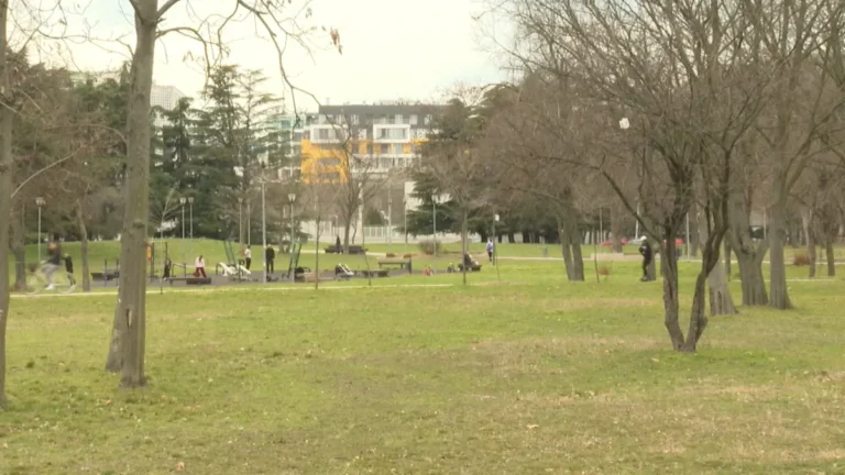 [Aggregator] Downloaded image for imported item #138156