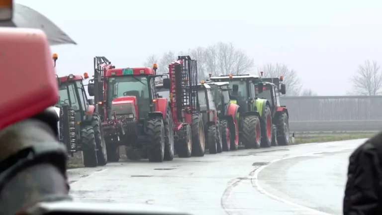 [Aggregator] Downloaded image for imported item #138315