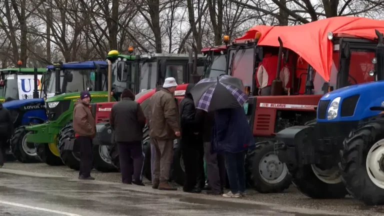 [Aggregator] Downloaded image for imported item #138242