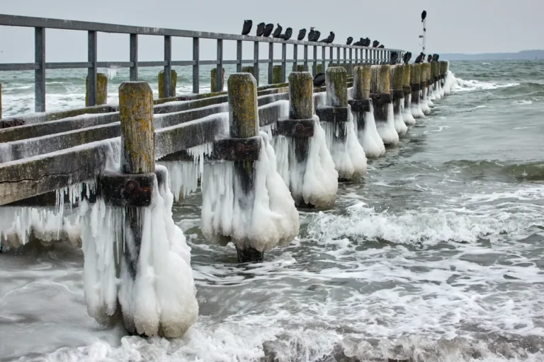 [Aggregator] Downloaded image for imported item #138576