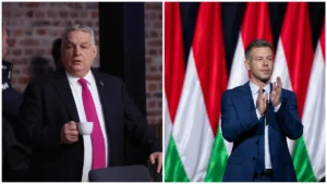 [Aggregator] Downloaded image for imported item #139617