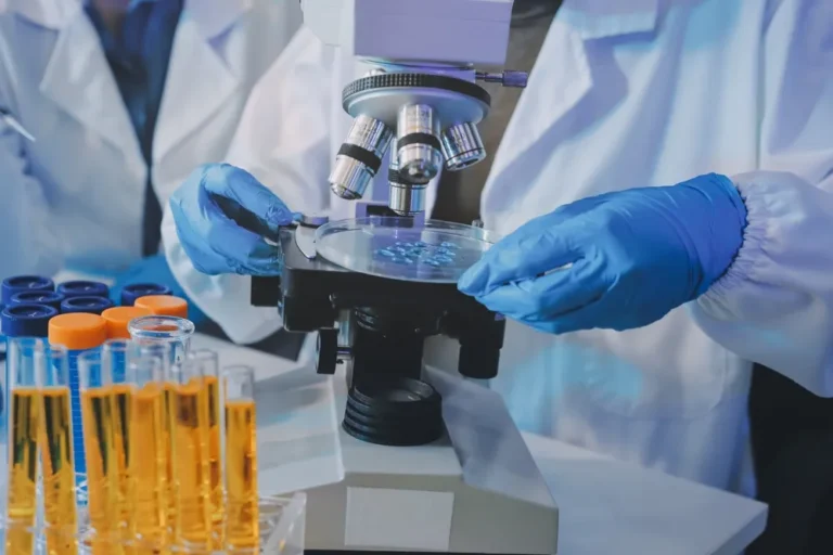 [Aggregator] Downloaded image for imported item #138787