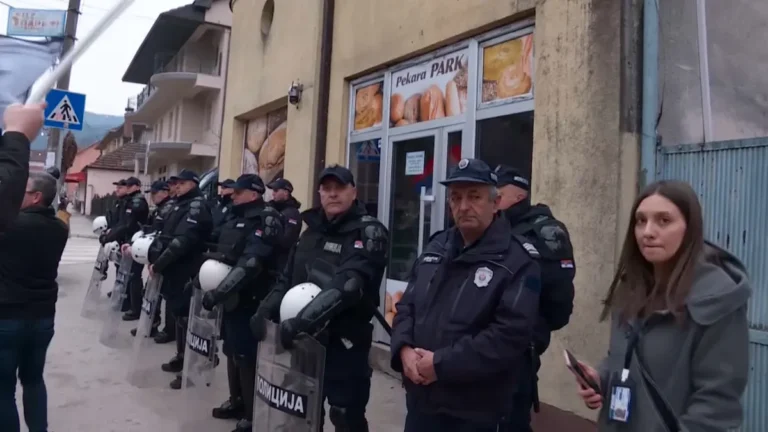 [Aggregator] Downloaded image for imported item #138715