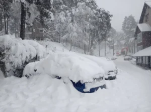 [Aggregator] Downloaded image for imported item #139341