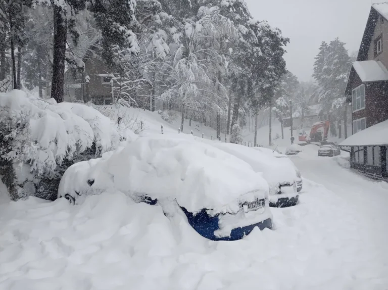 [Aggregator] Downloaded image for imported item #139341