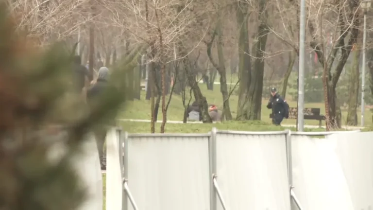 [Aggregator] Downloaded image for imported item #139206