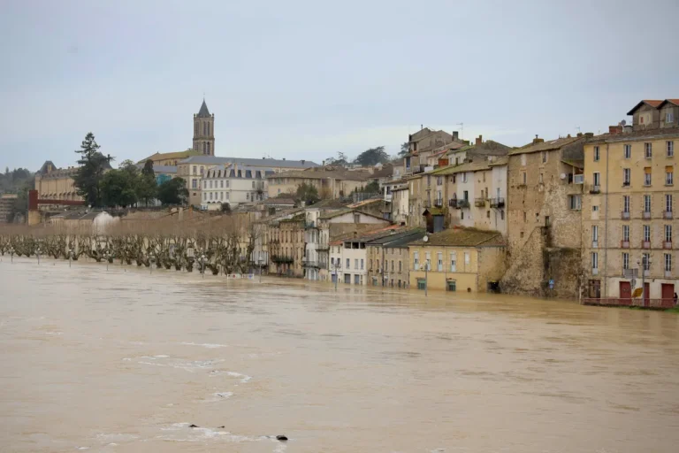 [Aggregator] Downloaded image for imported item #139186