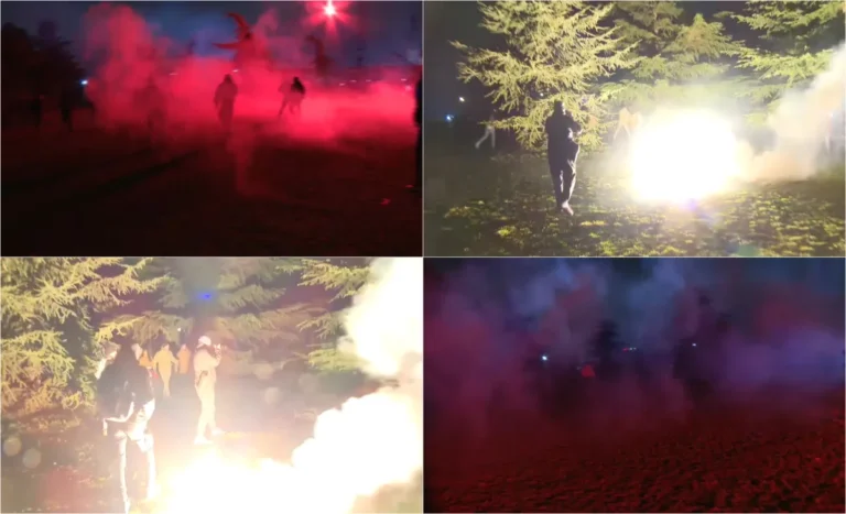 [Aggregator] Downloaded image for imported item #139076